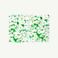 Daisy Notecard Set