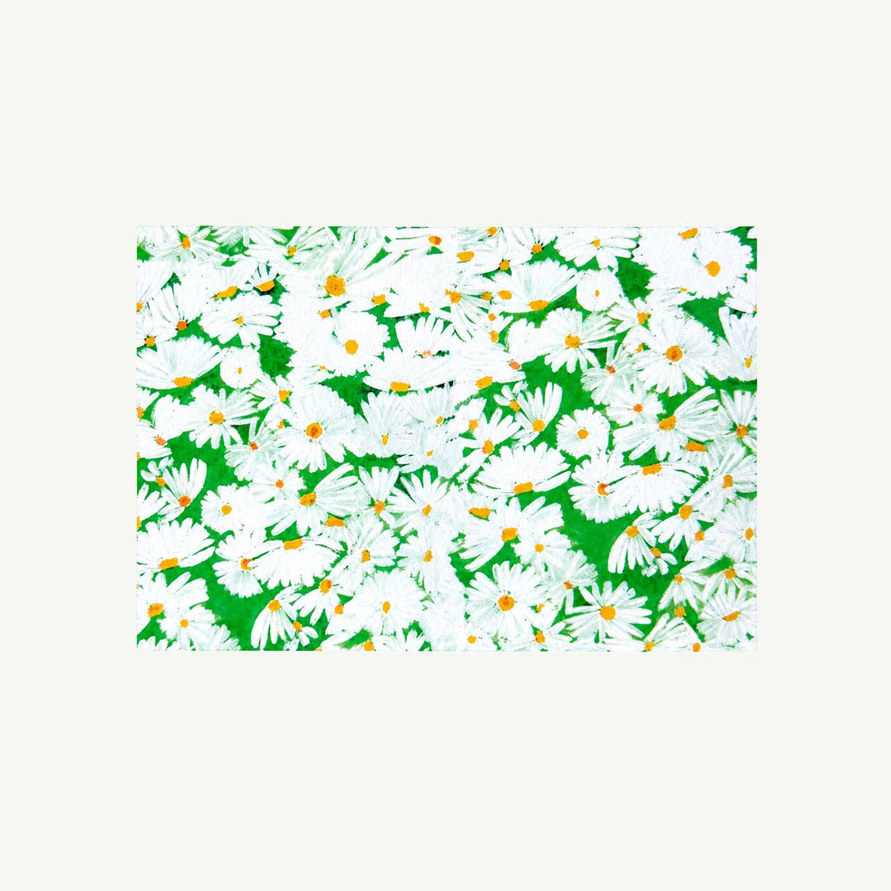Daisy Notecard Set