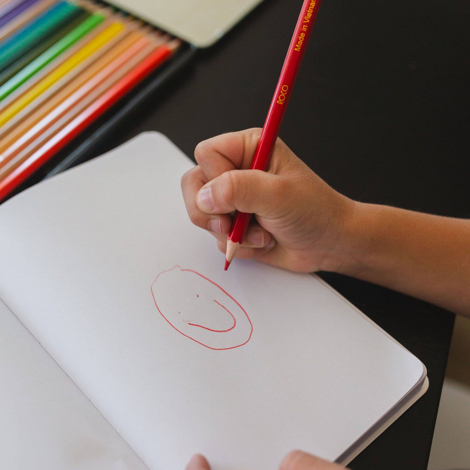 Premium Colored Pencils Set by Pippi Post